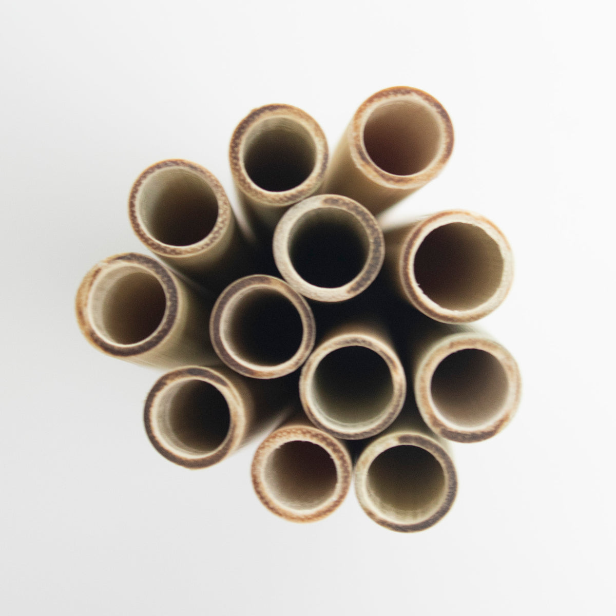 Sugerør av bambus (6 stk.)