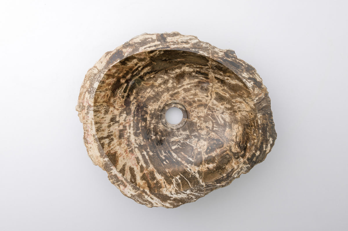 Forsteinet tre servant #101