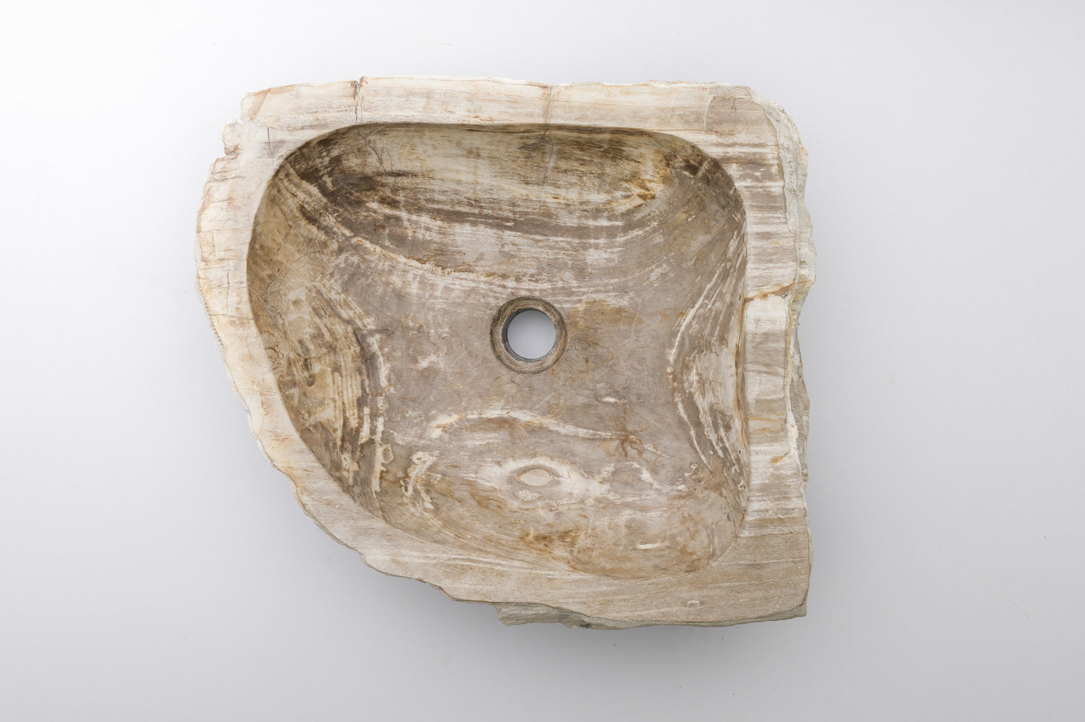 Forsteinet tre servant #105